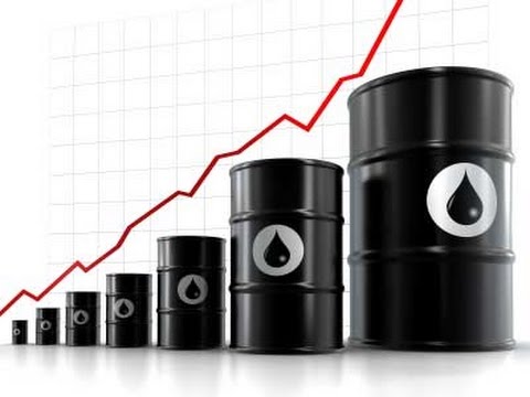 ¿Los precios del petróleo finalmente alcanzan la estabilidad después de la reunión de la OPEP?